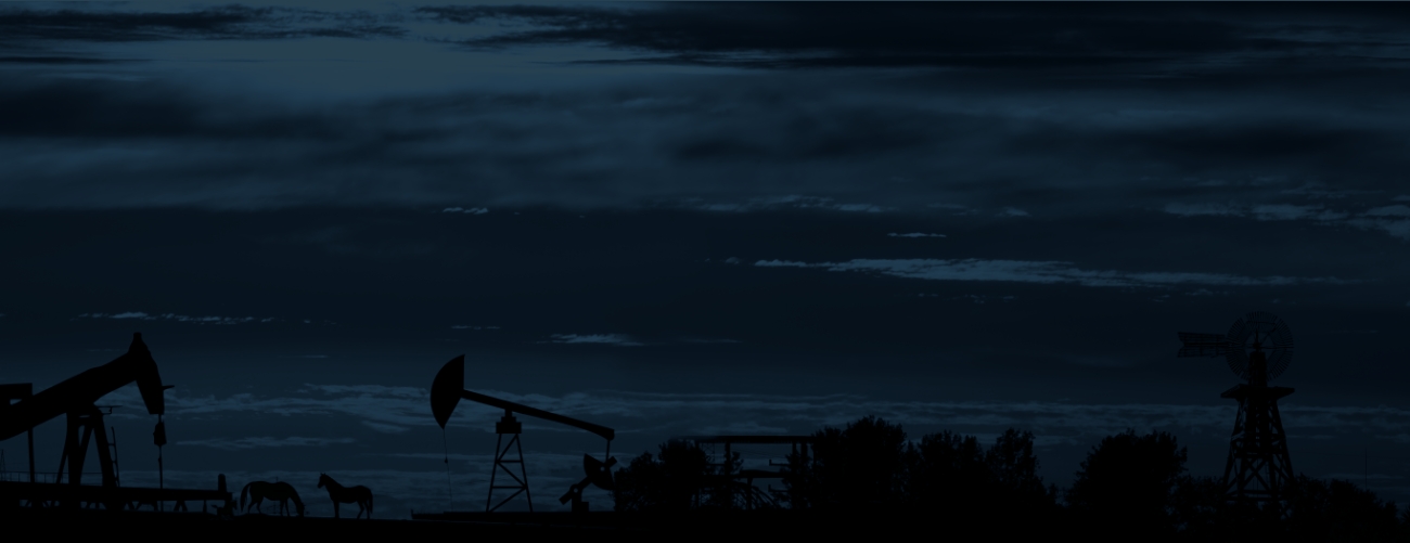 Canadian Petroleum Investments Companies