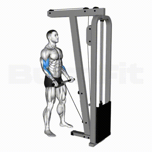 Cable Curl Smash your limit! BurnFit