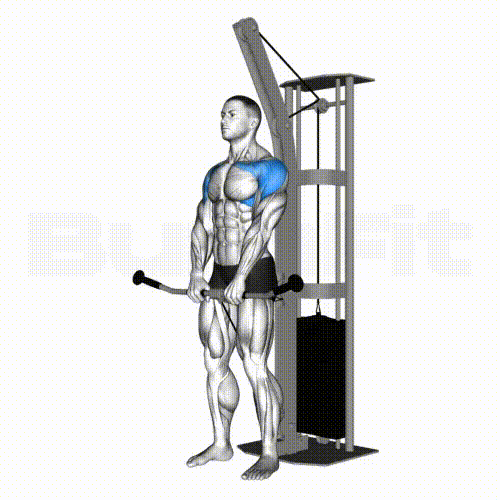 Cable Front Raise Smash your limit! BurnFit