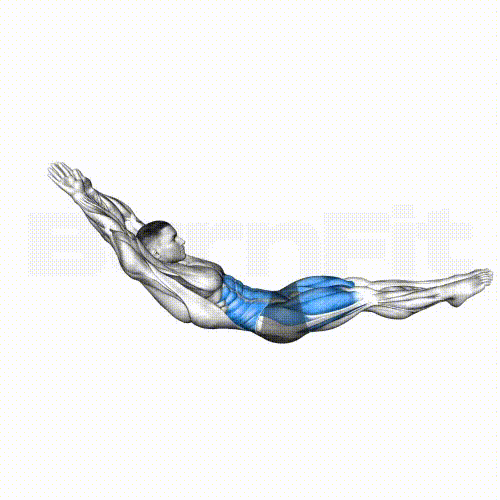 할로우 락 기록이 몸을 만든다. 번핏