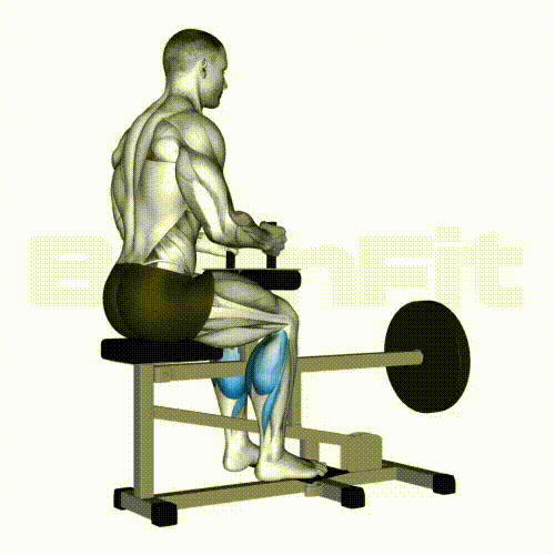 Seated Calf Raise Smash your limit! BurnFit