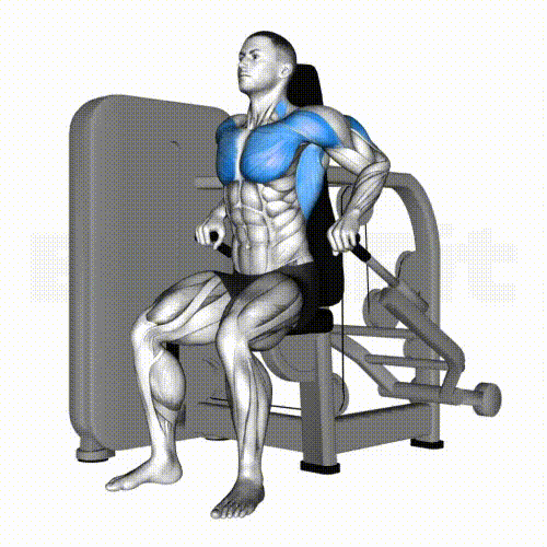 시티드 딥스 머신 기록이 몸을 만든다. 번핏