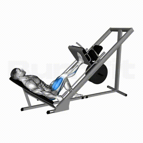 Single Leg Leg Press Smash Your Limit! BurnFit