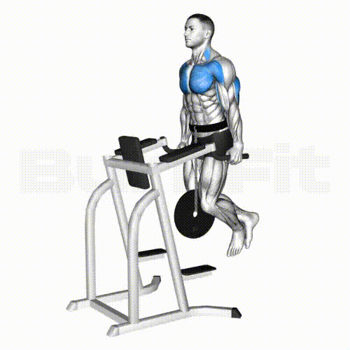 중량 딥스 기록이 몸을 만든다. 번핏