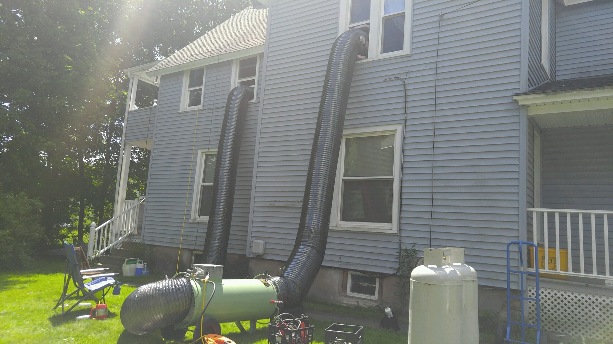 Why Heat Treatment is the most Effective way to Kill Bed Bugs – Burnin Bugs