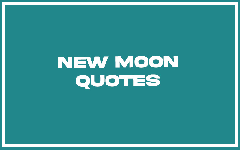 151 Best New Moon Quotes (with Commentary) Burning For Success
