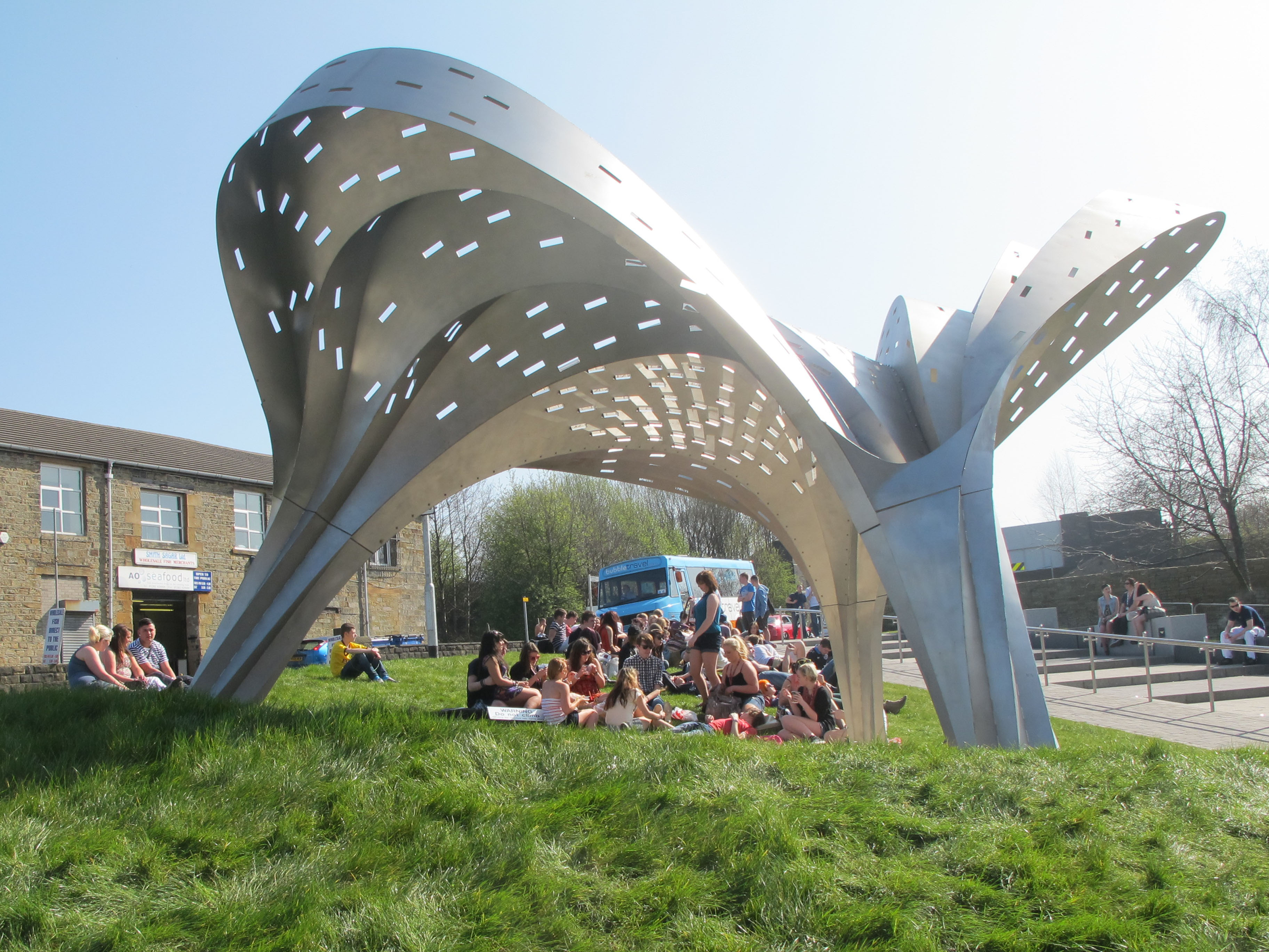 Tonkin Liu The Evolution of Shell Lace Structure Burnley
