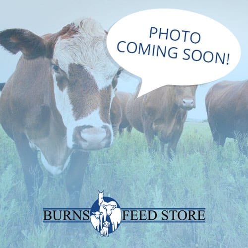 Traeger Pellets Texas Blend 20 lbs Burns Feed Store