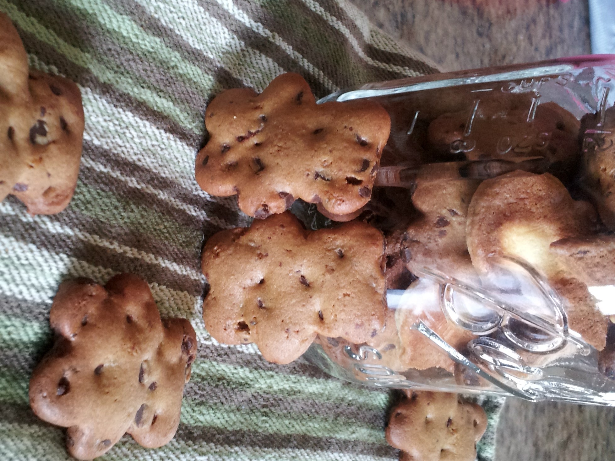 Chocolate Chip Graham Cracker Cookies Burnt Apple