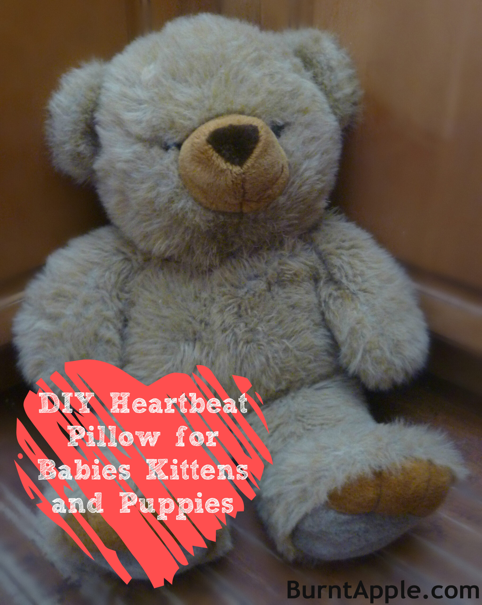 DIY Heartbeat Pillow for Puppies, Kittens and Babies Burnt Apple