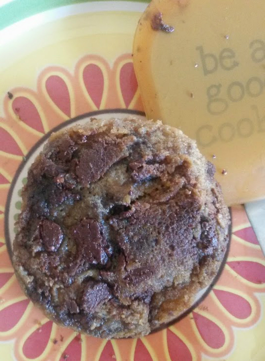 A Pioneer DinnerStovetop Chocolate Chip Cookies Burnt Apple