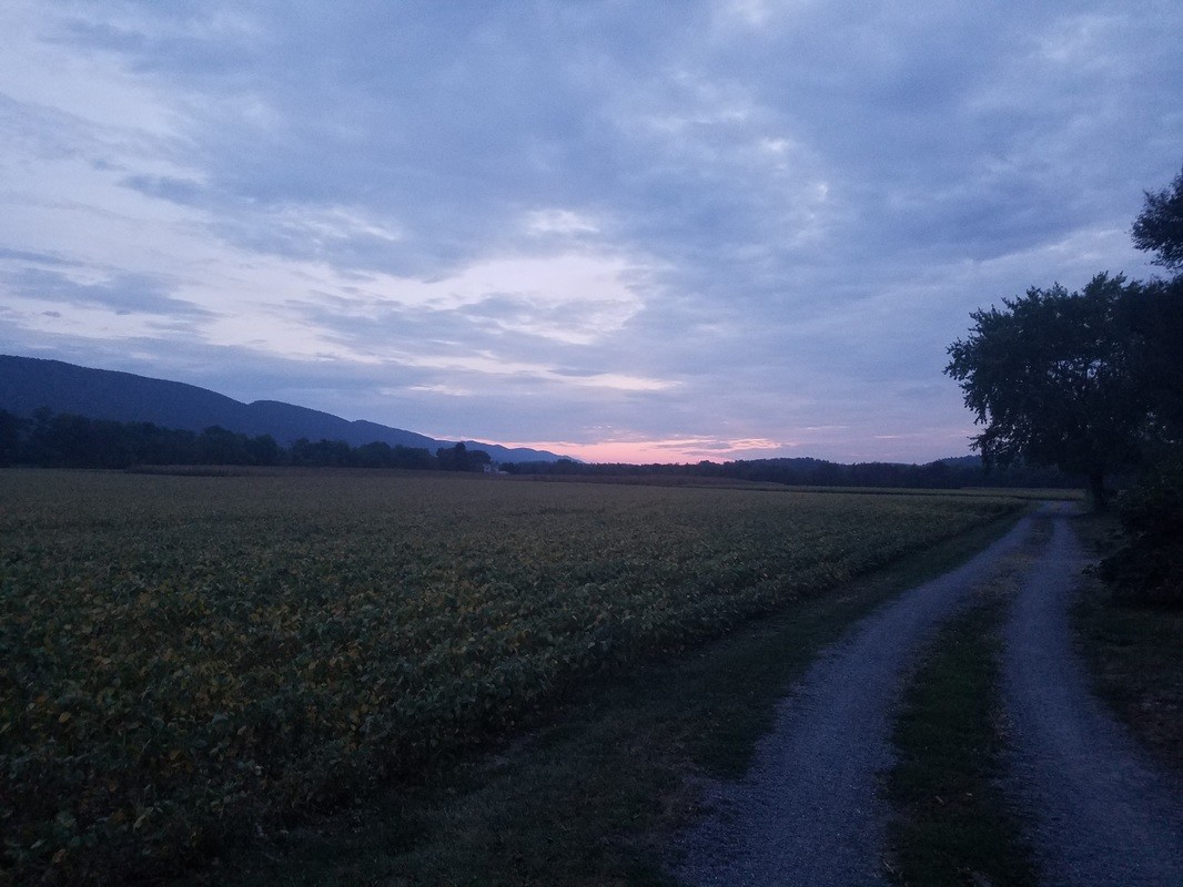 The Cottage Burnt Timbers Winery