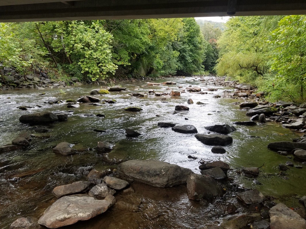 Local Attractions Burnt Timbers Winery