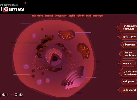 CELLS – Ms. Burrows' Classroom