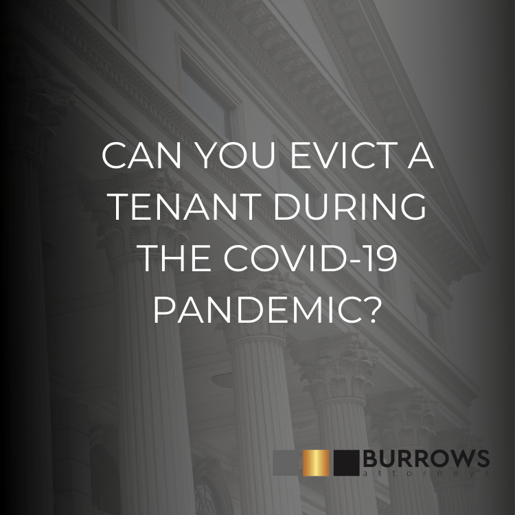Commercial & Corporate Law Articles Burrows Attorneys