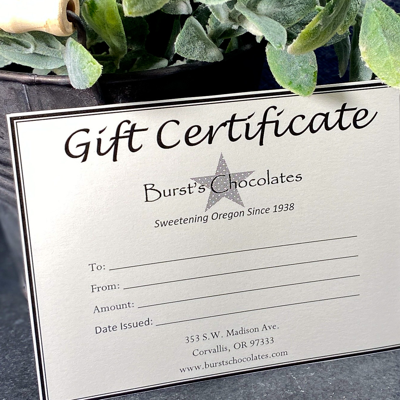 25 Gift Certificate