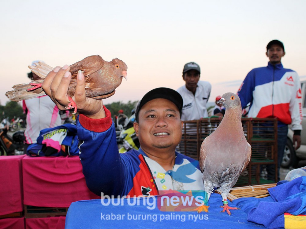 Royal Platinum Klaten Usai Juara Di Anniversary Ppmbsi : Bukan Comeback, Kami Memang Baru Memulai - Burungnews