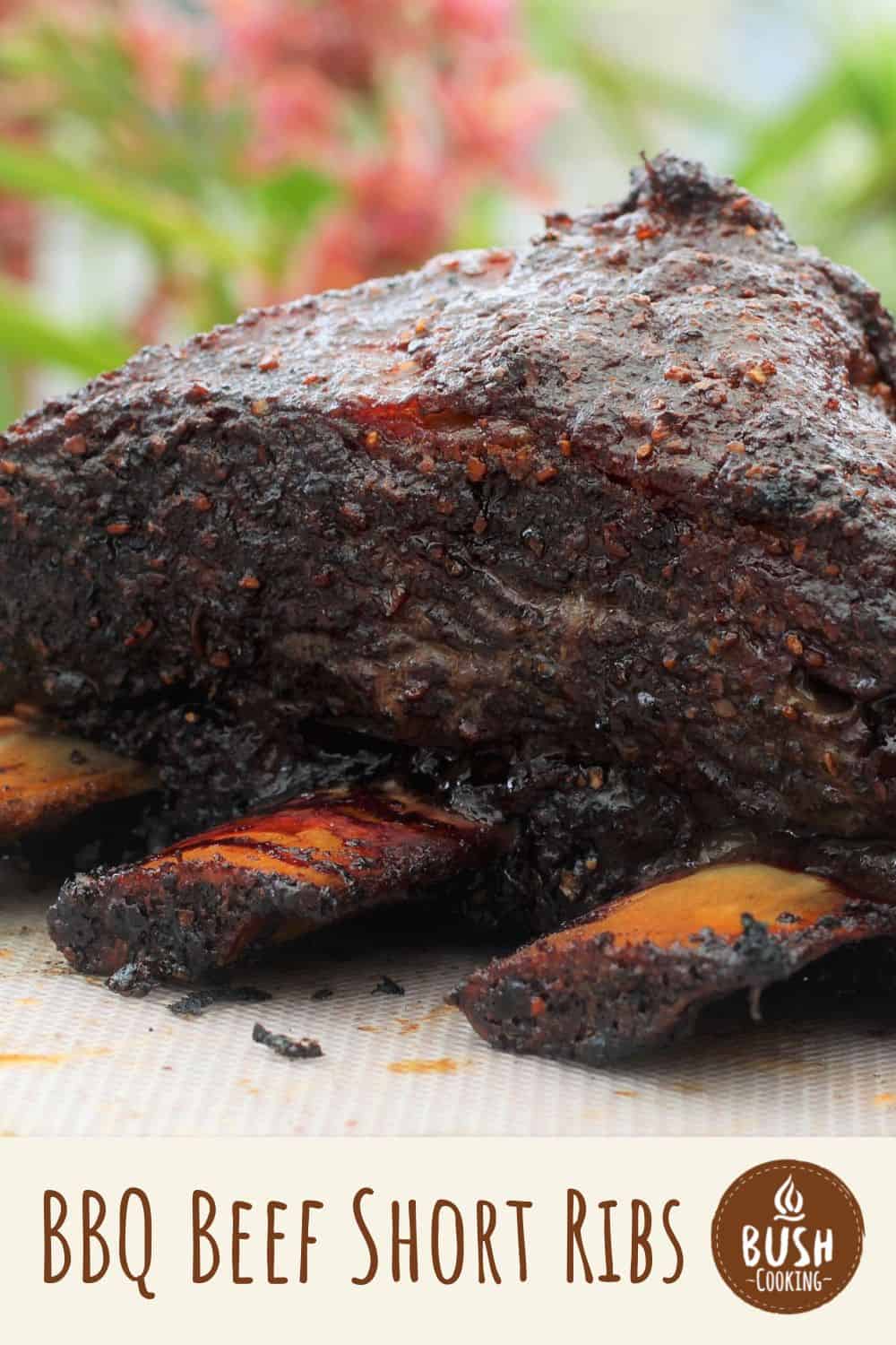 BBQ Beef Short Ribs Bush Cooking