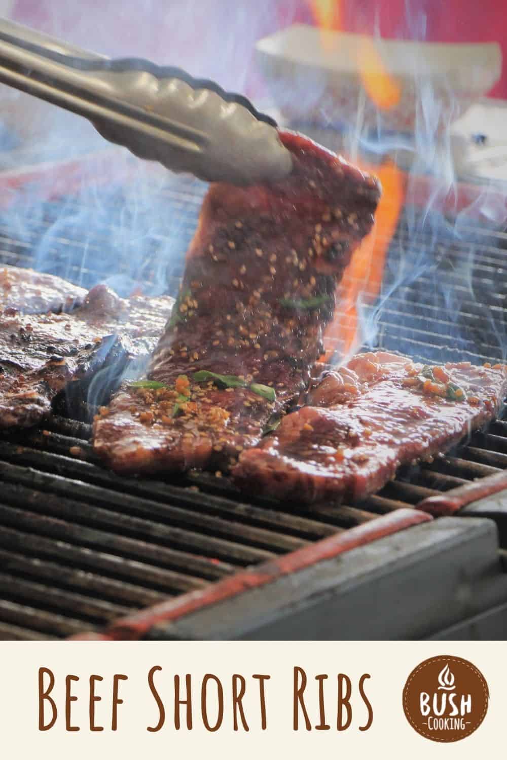 Grilled Beef Short Ribs Bush Cooking