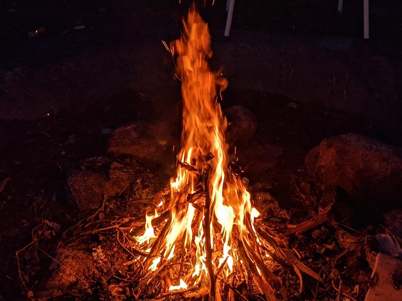 How much is a bundle of firewood? (What to expect) BushcraftInfo