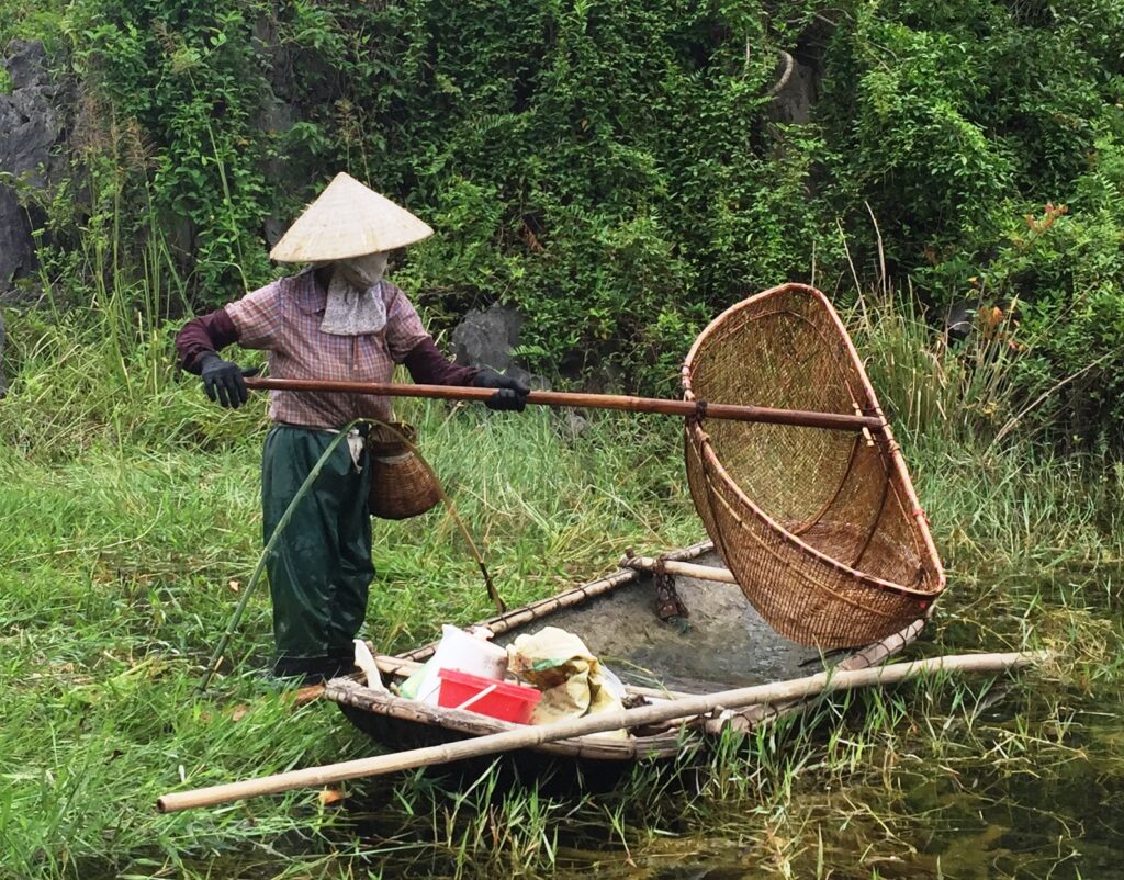 Using a stomping basket to catch fish in Vietnam Bushguide 101
