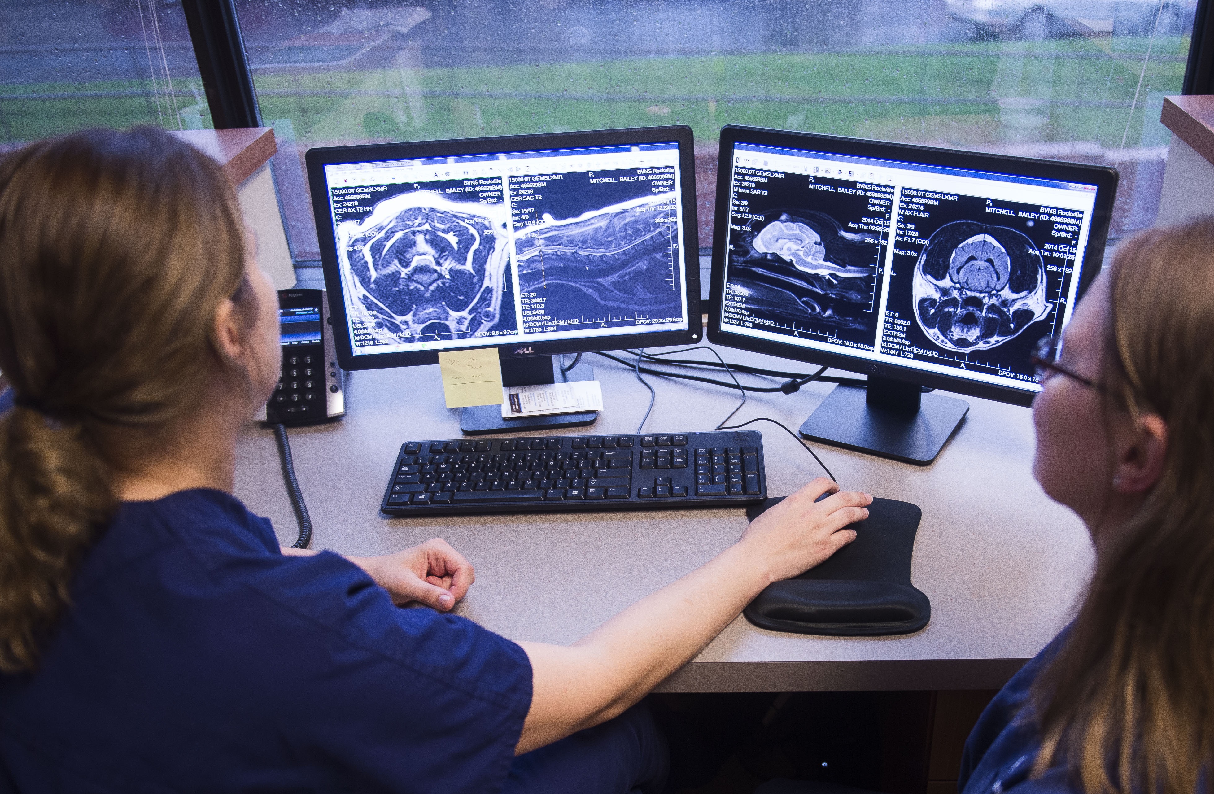 Test Selection Bush Advanced Veterinary Imaging