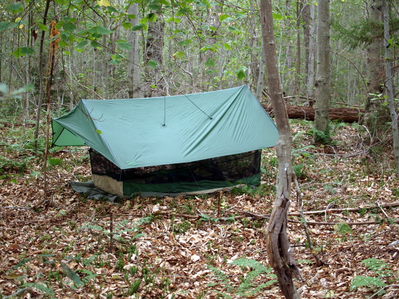 Central Pepperbox Wilderness Trip Report Day Four Along the shores of