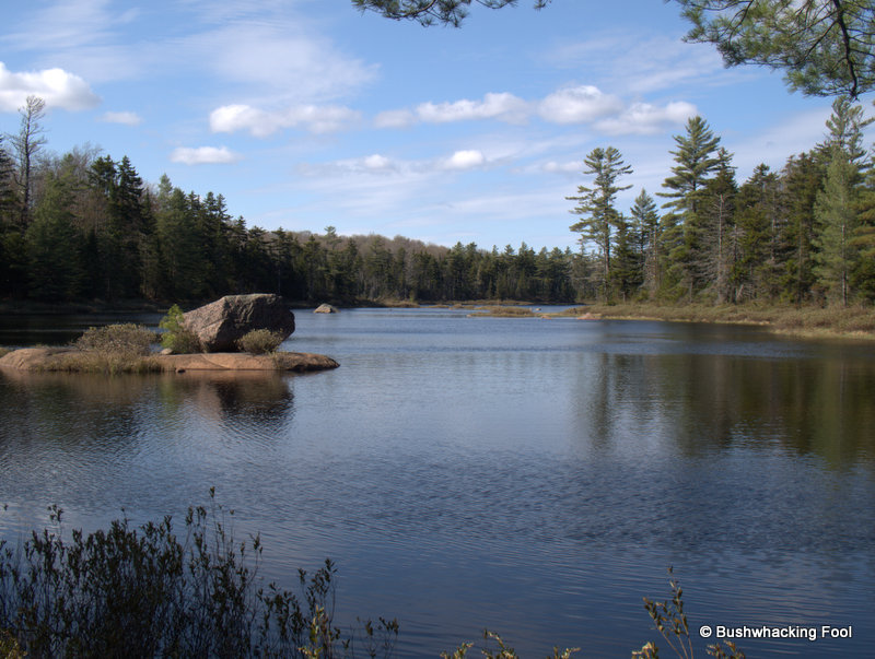 Birdathon 2014 Birding Up Deer Pond Outlet to Sunshine Pond