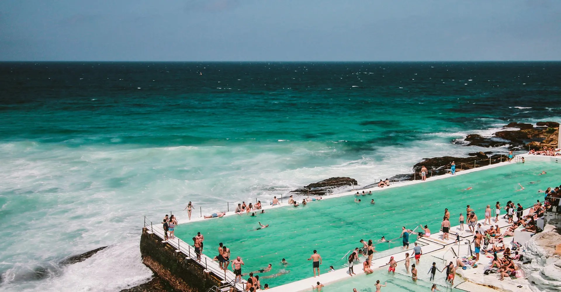 Client Success Business Australia Pureprofile