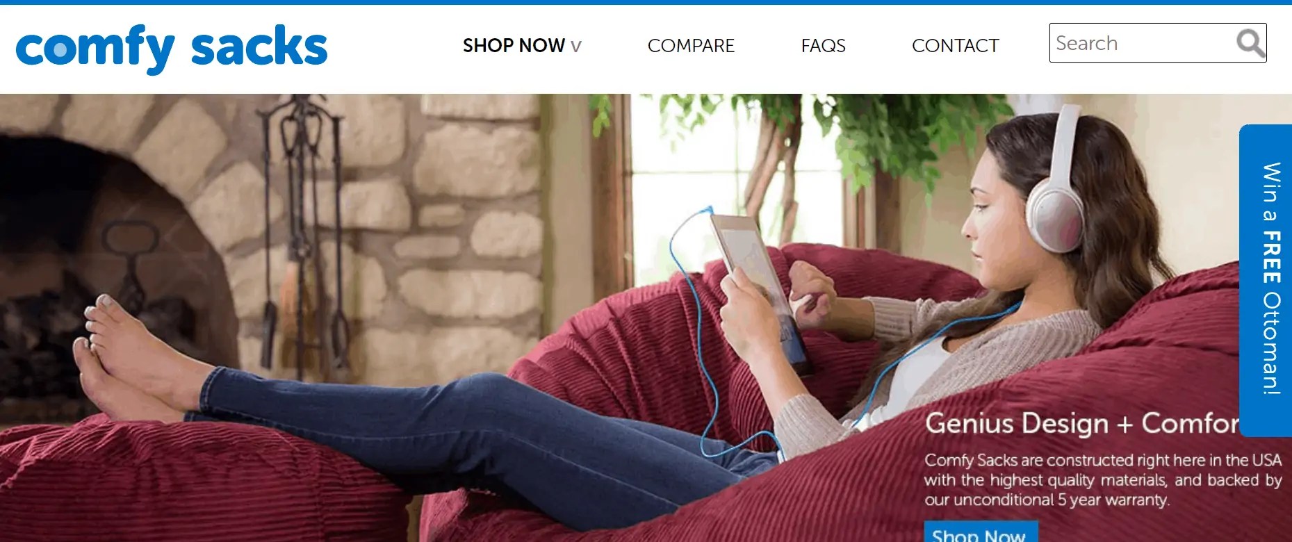 Lovesac Competitors Analysis What Makes Their Strategies Unique? Business Chronicler