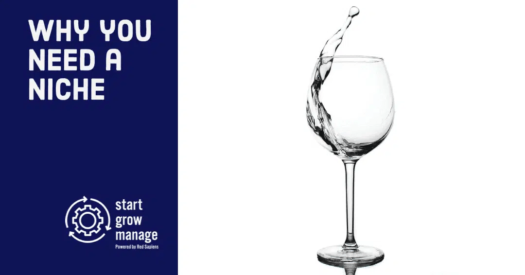 The Power of Niche Business Implementers