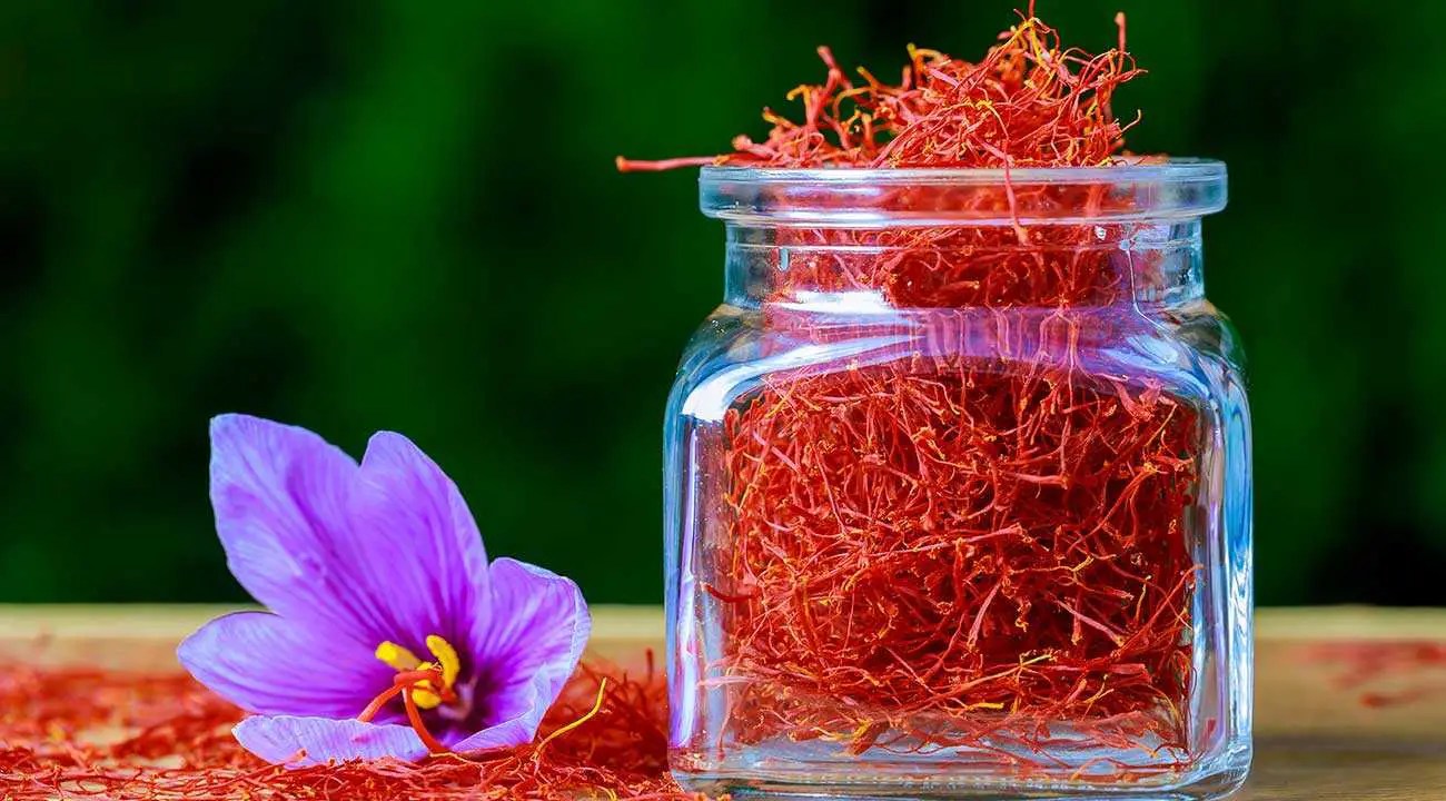 Why Saffron Is So Expensive? World’s Most Expensive Spice