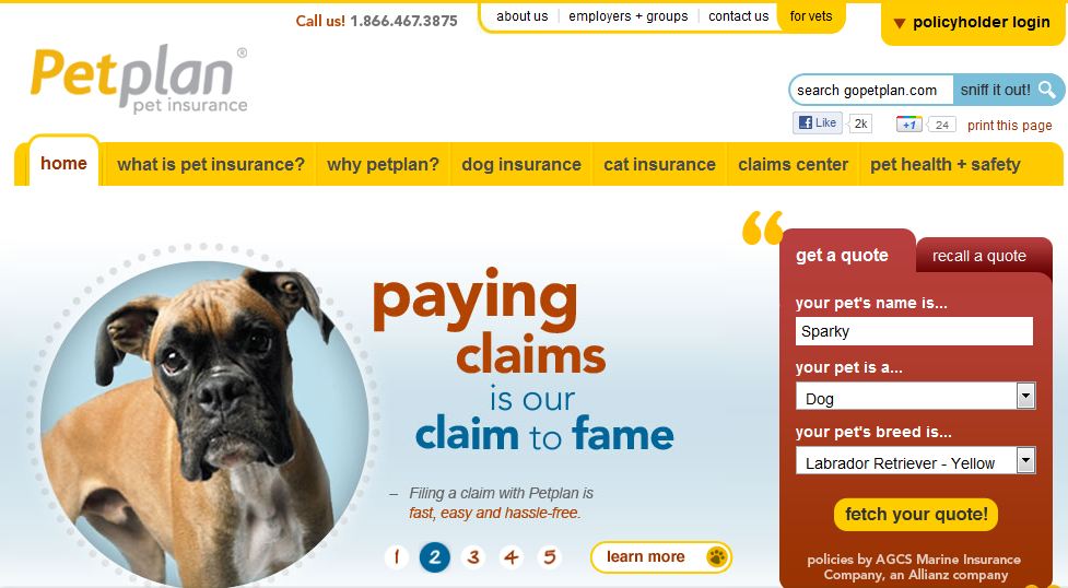 Chris & Natasha Ashton, Petplan CoFounders & CoCEO's