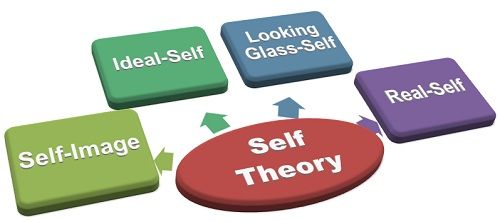What is Self Theory? definition and meaning Business Jargons