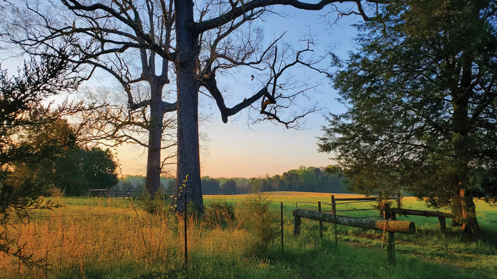 Real estate pro David Couch’s vision for a pastoral development divides