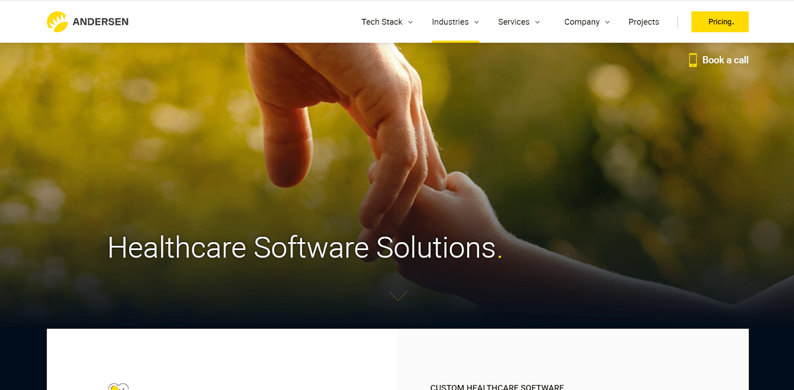 Top Healthcare Software Development Companies How to Choose the Right
