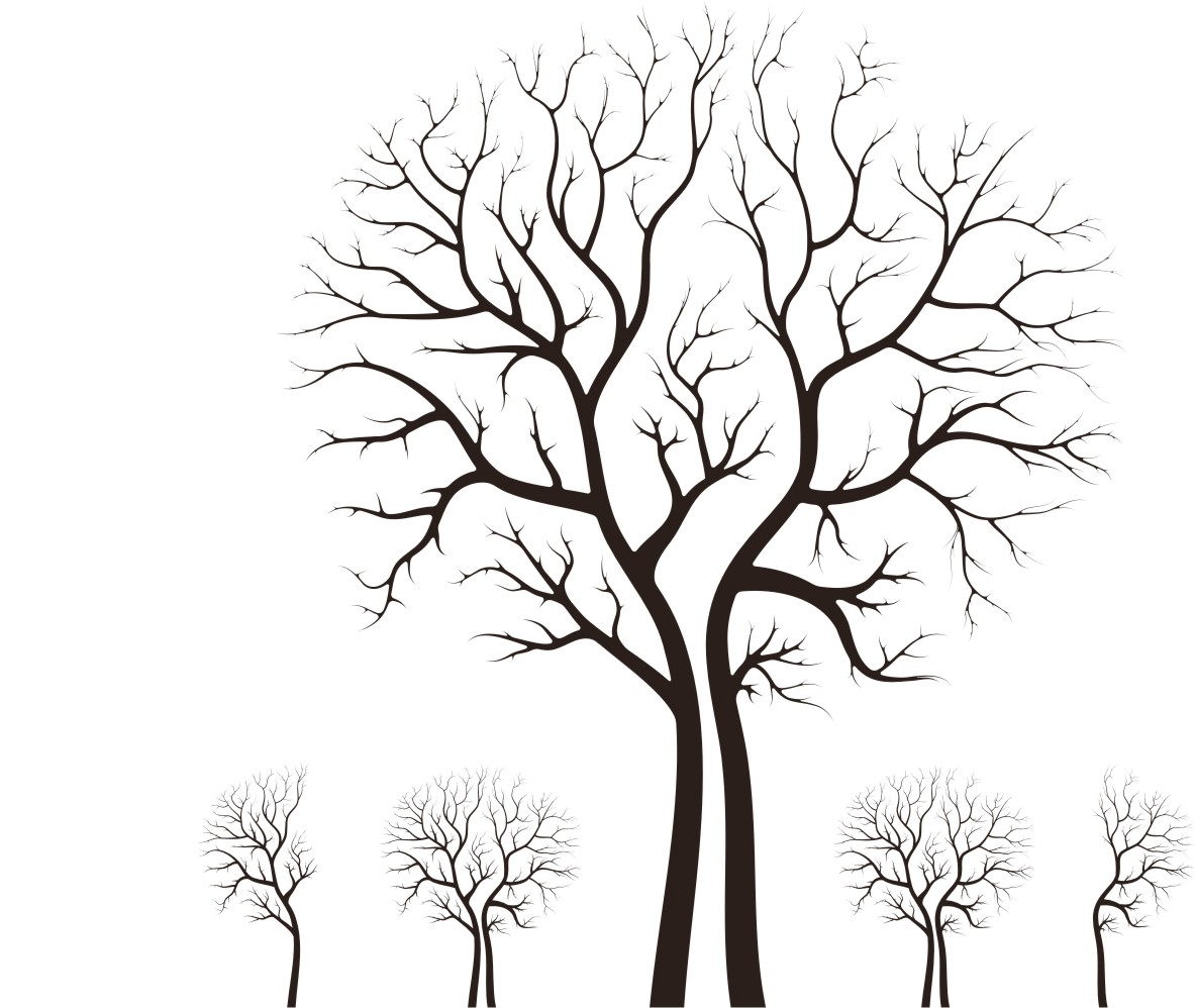 Dibujo arbol invierno Imagui