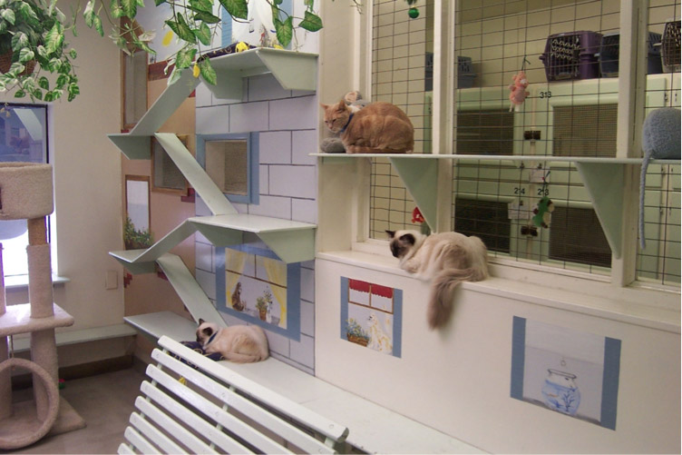 Buster's Vision Protect your furbaby. Research Pet Daycare Tragedies.