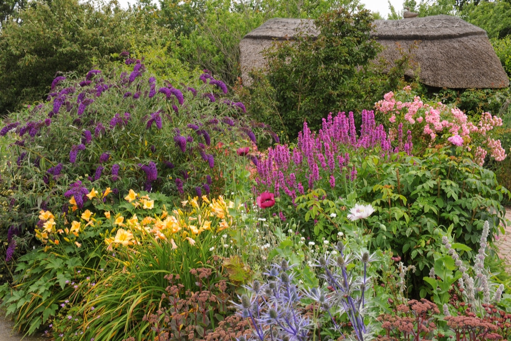 Stunning Companion Plants For Daylilies That Will Make Your Garden Pop