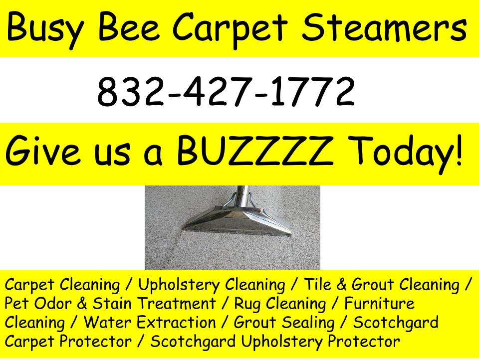 Carpet Cleaning Service Busy Bee Carpet Steamers