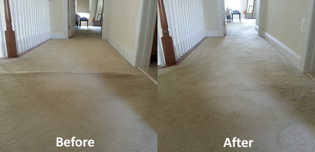 Carpet Stretching Repairs Busy Bee Carpet Steamers