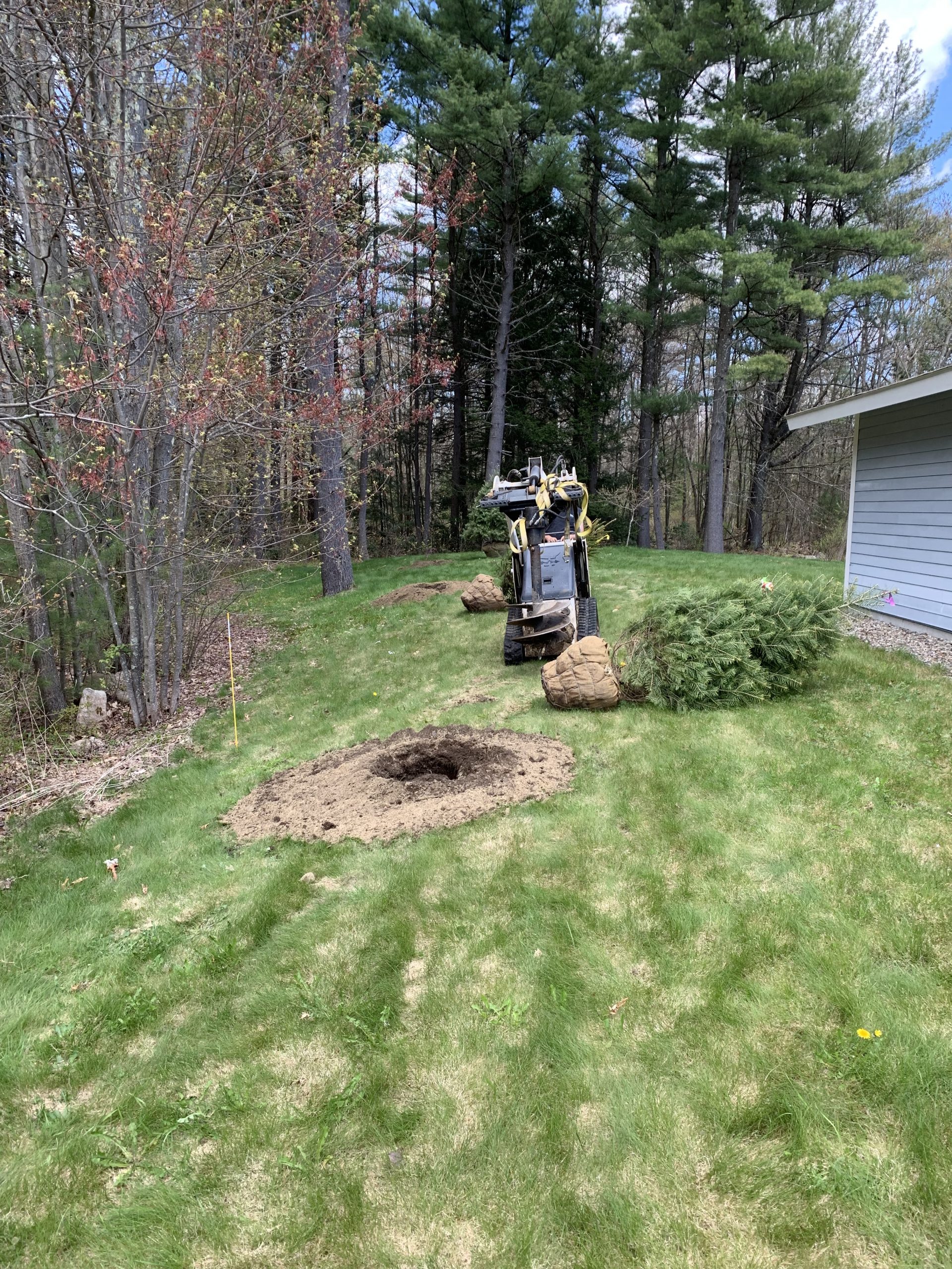 Planting & Removal Busy Bee Landscaping Amherst MA, 01002