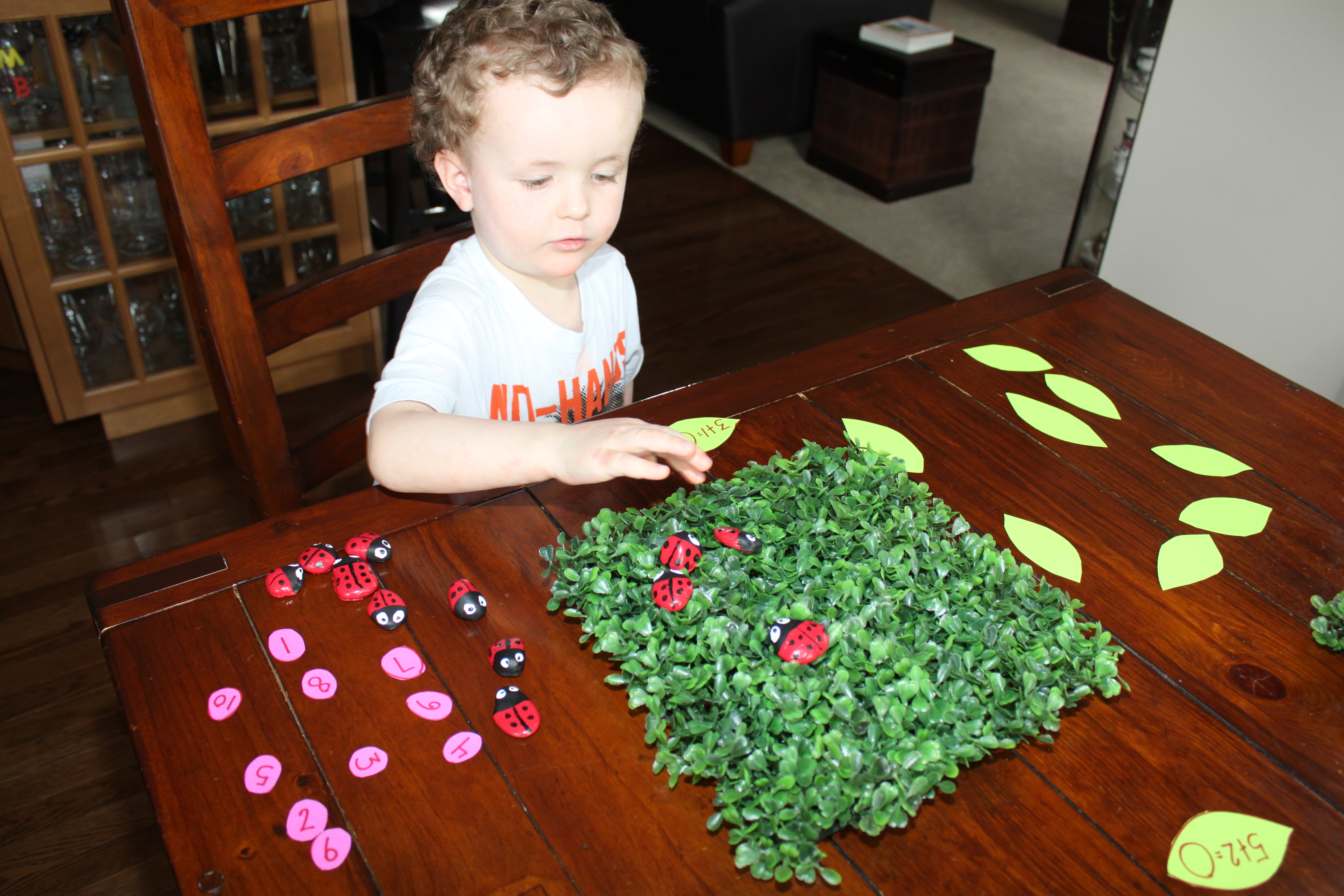 cool math ladybug maze