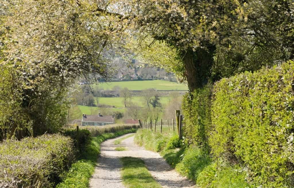 Cranborne Chase Walks Wiltshire's Area of Outstanding Natural Beauty King John Inn