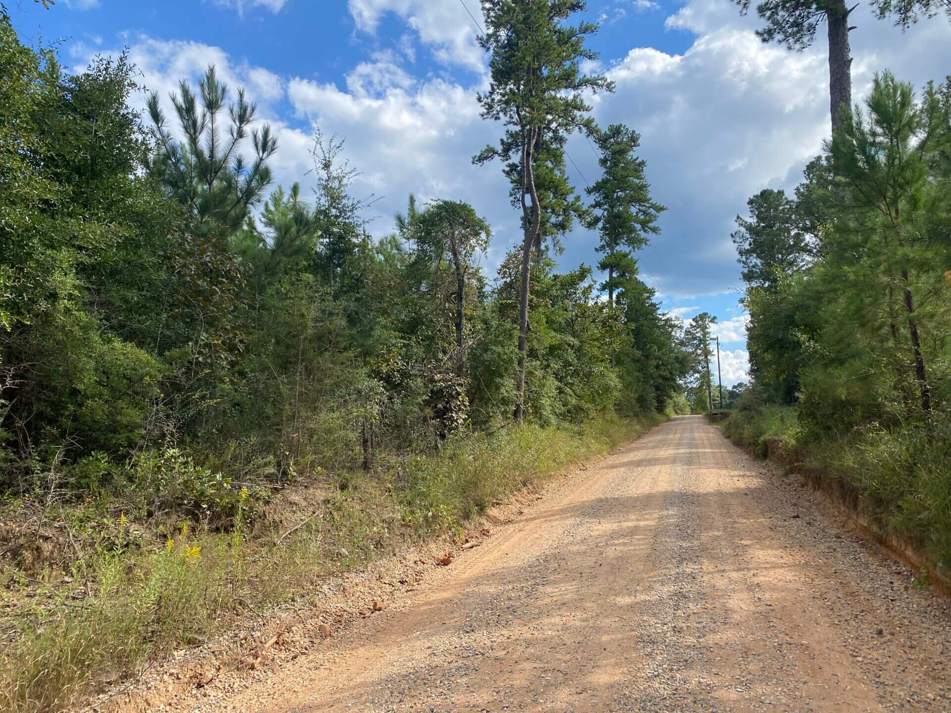 HOWARD MORRIS 19 ACRES MOBILE COUNTY, ALABAMA Butler Land & Timber Co