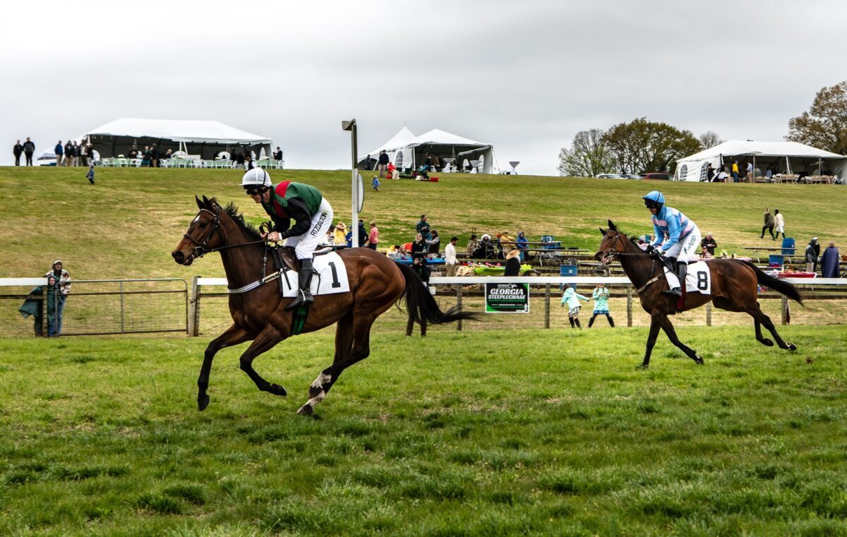 Steeplechase Butter.ATL