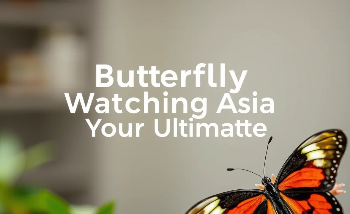Butterfly Identification Tips