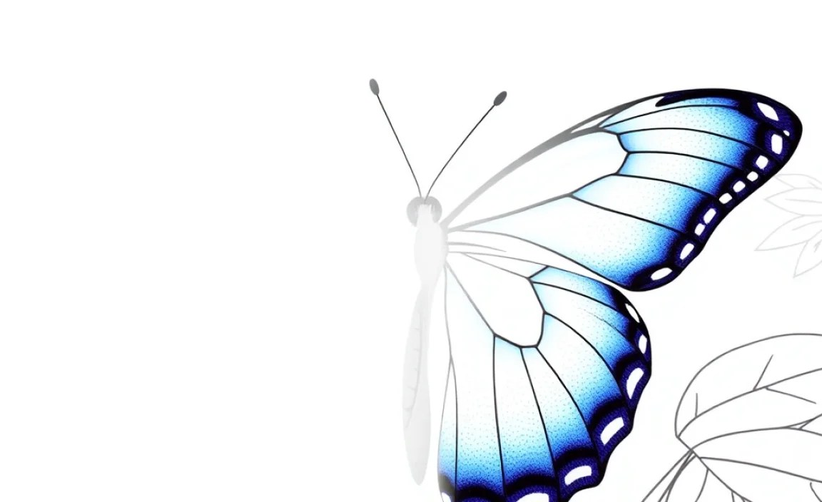Creative Ideas for Blue Morpho Pages