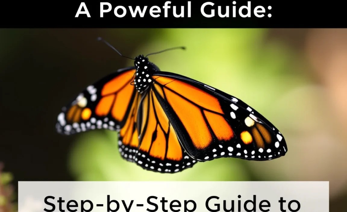 Step-by-Step Guide to Finding Monarchs