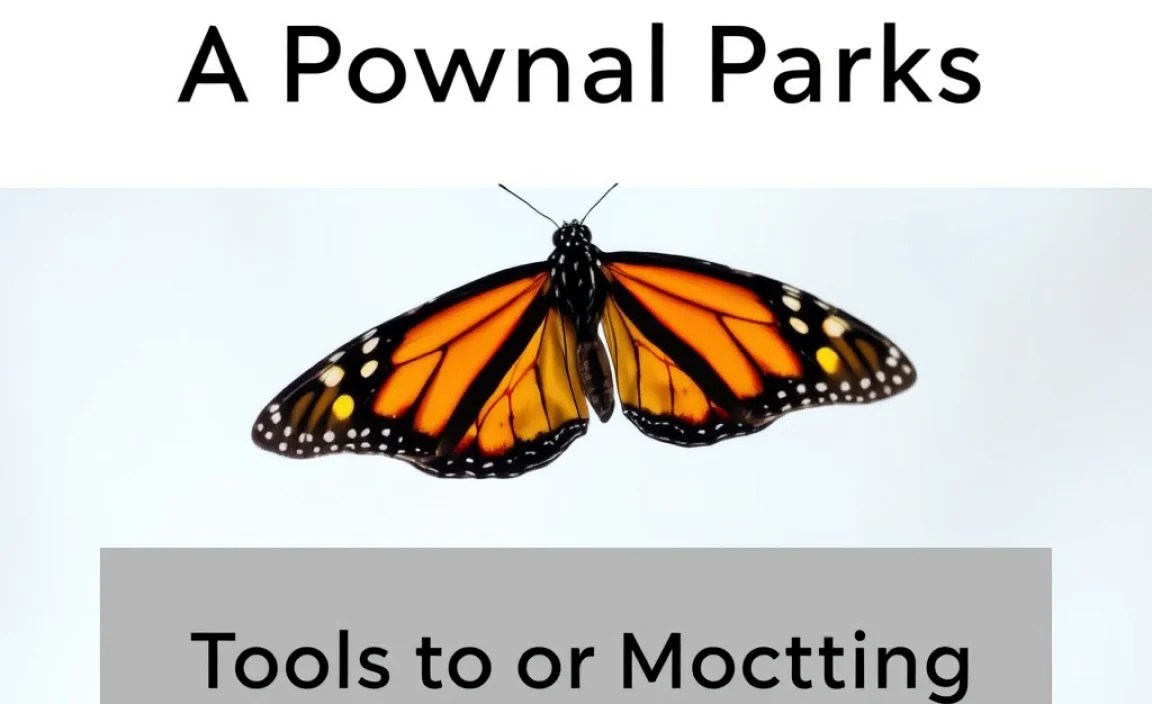 Tools for Monarch Spotting